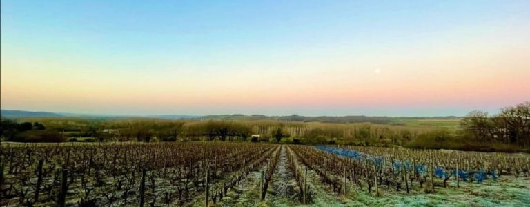 Domaine de Bellivière