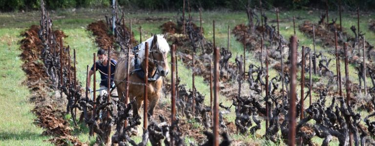 Clos de l'Ours